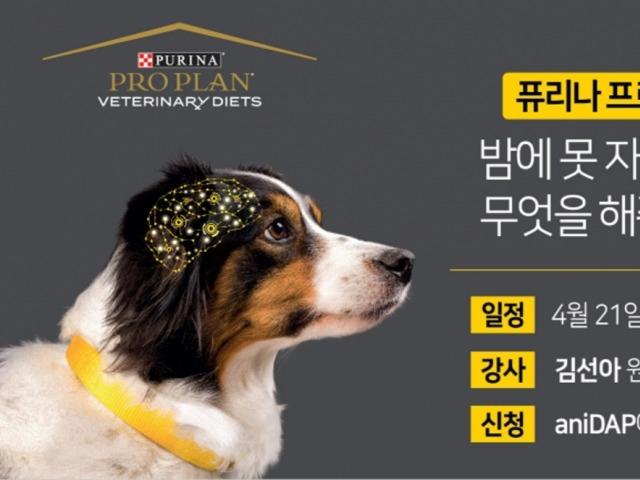 네슬레 퓨리나, 잠 못드는 치매 반려견 위한 ‘퓨리나 프로플랜 웨비나’ 개최