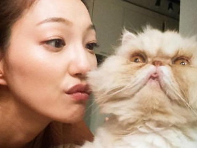 병들어서 <strong>안락사</strong> 대상이었던 고양이보고 여배우가 한 일