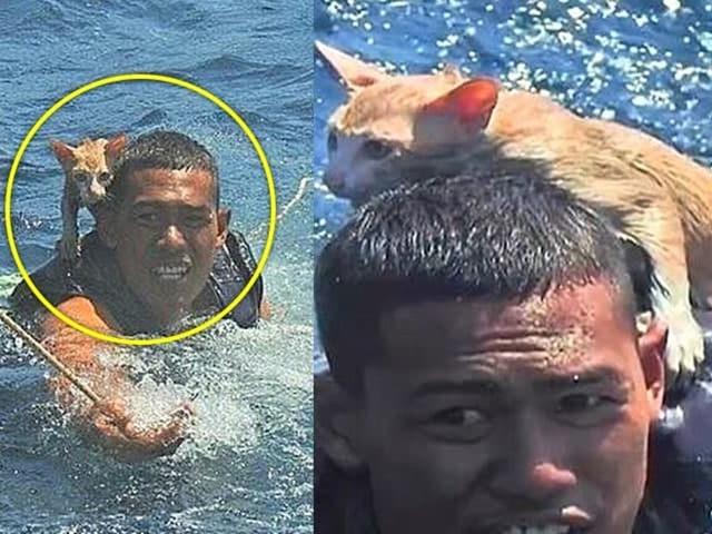 물에 빠진 새끼 고양이를 보고 마을 사람들이 내린 선택