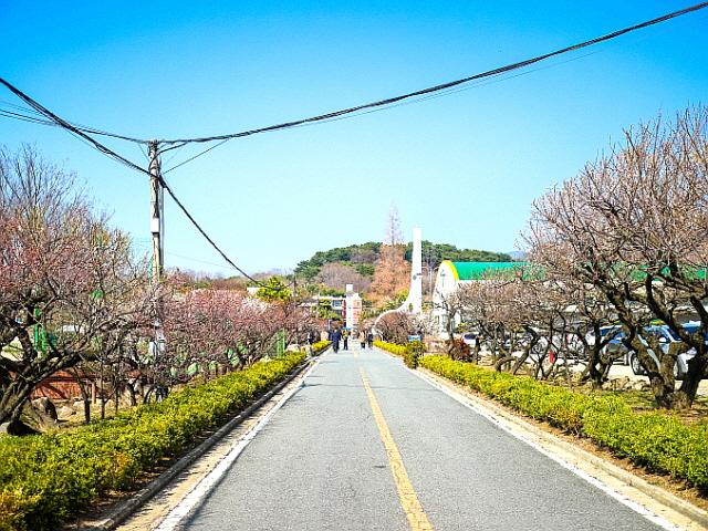 날 풀리기만 기다렸다면, 김해로 커플<strong>여행</strong> 가즈아!