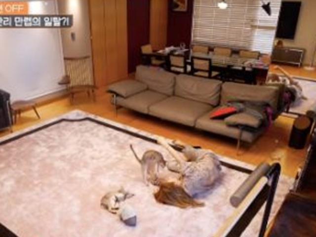 "특수부대급 운동루틴" 옥주현, 사업 망해→럭셔리家 25년만 최초공개