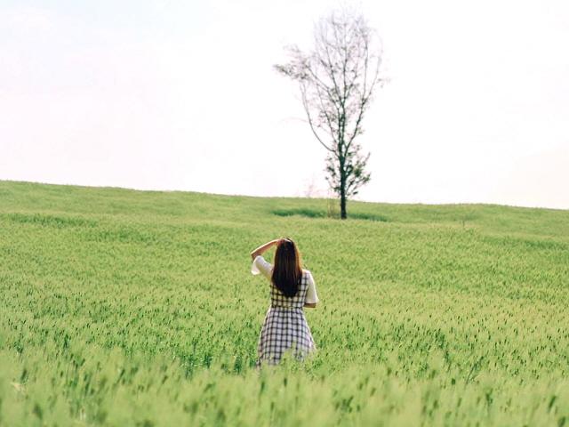 청량감 가득! 청보리밭 한창인 <strong>봄</strong> <strong>여행지</strong>