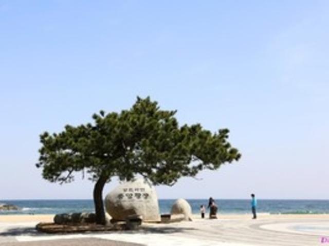 로드프레스 추천, 가정의 달 5월에 걷기 좋은 길 3곳 선정