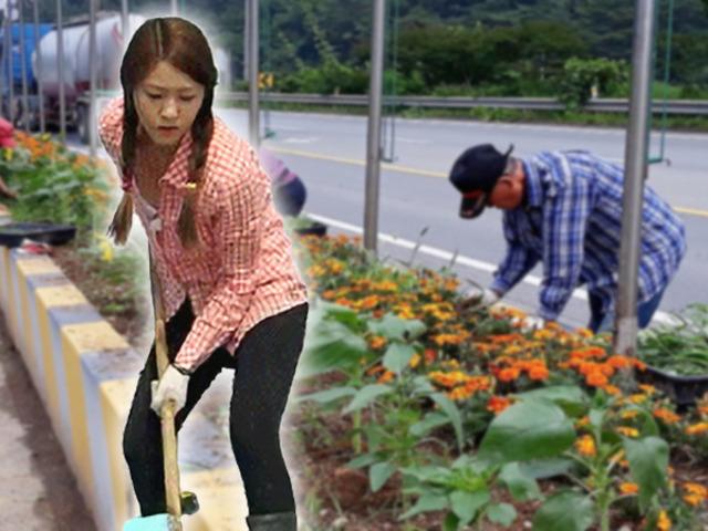 <strong>130</strong>만 원, 4대보험 혜택까지... 몰라서 못하는 정부의 공공일자리