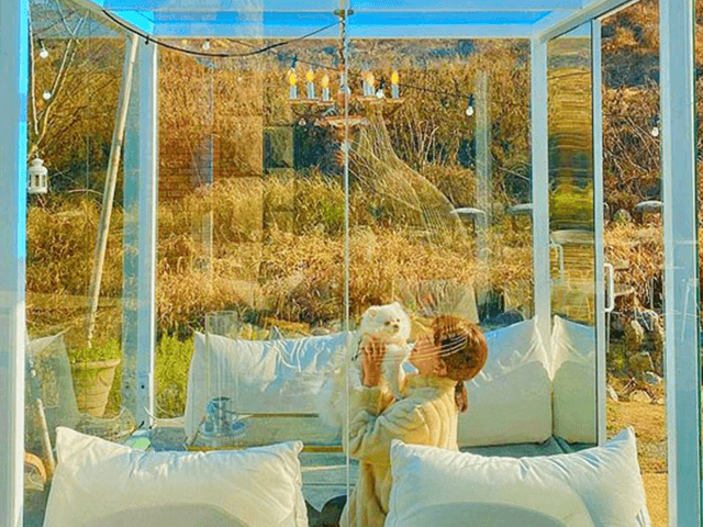 요즘 시국에 예약 없으면 구경도 못한다는 ‘비대면’ 카페 3