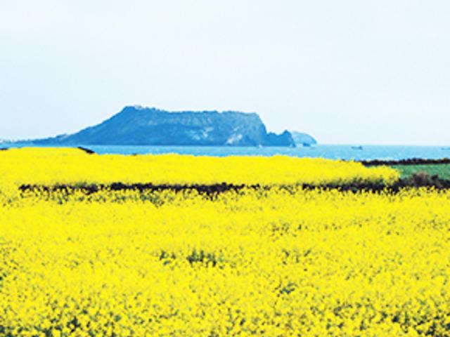 <strong>제주</strong>에서 <strong>한</strong> <strong>달</strong> <strong>살기</strong> 下