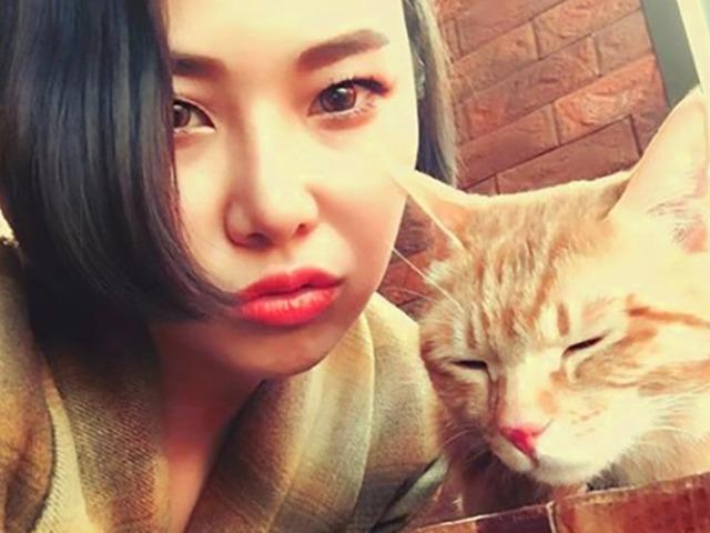 <strong>치타</strong>가 ‘앞발 불편한 냥이’ 임시 보호 자처한 건 바로…