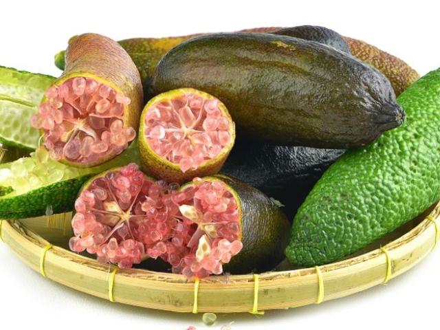 이런 맛, 이런 모양 처음이야! SNS 인싸템 이색 과일 6