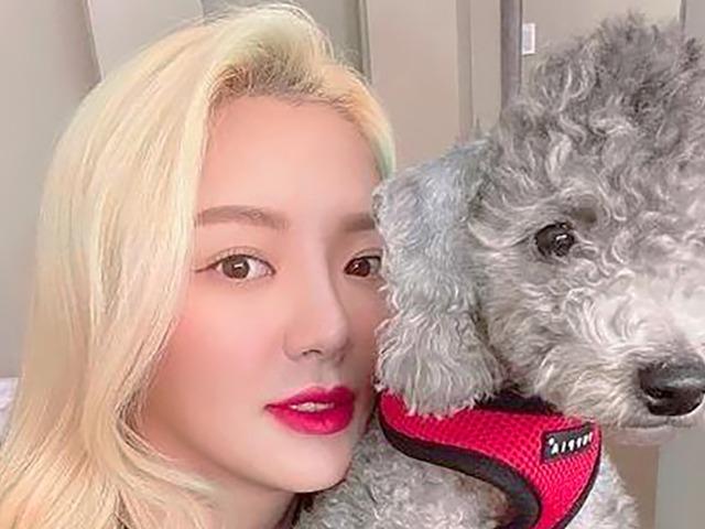 집순이 집사 똑같이 닮았다는 <strong>댕댕이</strong>의 놀라운 하루 일과