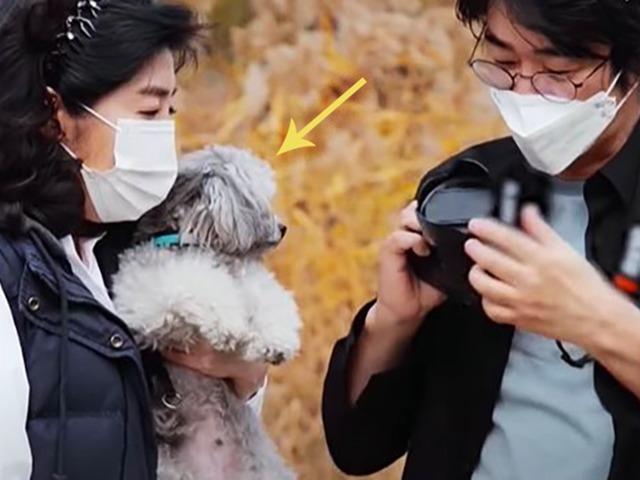 ‘<strong>강아지</strong> 영양제 먹여야 한다?’ 유명 여의사가 한 대답