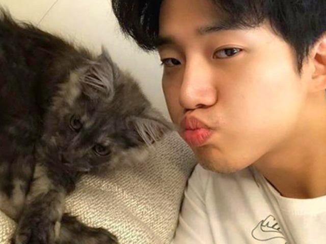 “늑대 아니야?” 종 의심하게 되는 준호네 고양이의 정체