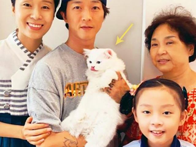 ‘<strong>돼냥이</strong>의 정석’ 모태 마름 가수의 고양이가 뚱냥이 된 놀라운 이유