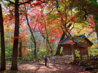 너른 산 돌며 호젓하게 정기를 받아볼까, 치악산 둘레길
