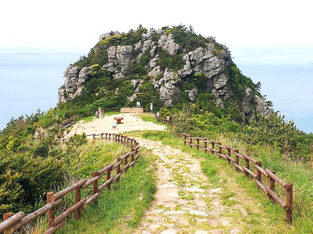 <strong>유채꽃</strong>·청보리 살랑살랑…그 섬, 느릿느릿 걸어도 괜찮아