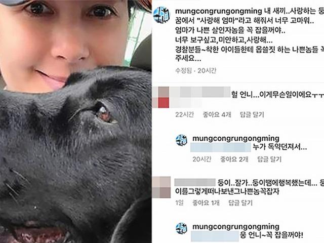 ‘<strong>엄마</strong>가 살인자 꼭 잡을게’ 이지안이 세상 떠난 반려견과 한 약속