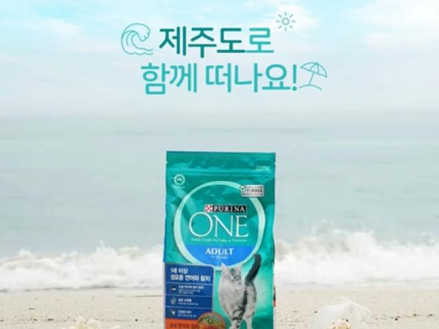 더위에 지친 반려동물, 방구석 <strong>여행</strong> 어떠세요