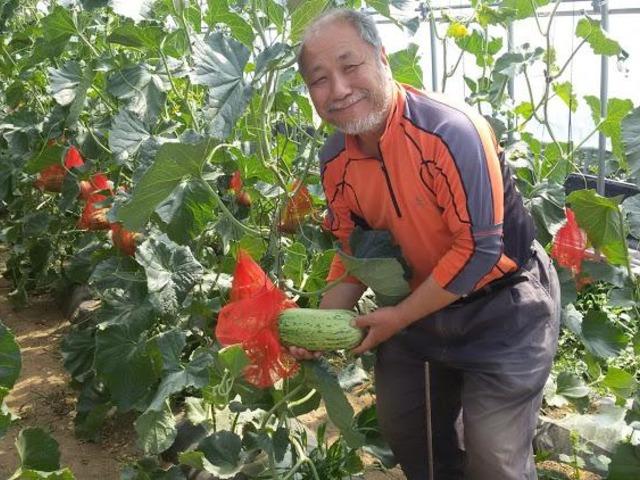 귀농 3년차, 제천 하미과 농부의 농업창업지원센터 통한 귀농기