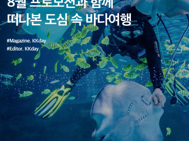 코엑스 <strong>아쿠아리움</strong> :: 8월 프로모션과 함께 떠나본 도심 속 바다 여행