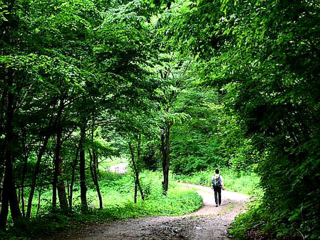 첩첩산중 오지, 칠흑 같은 밤에 찾아온 초록빛 유영