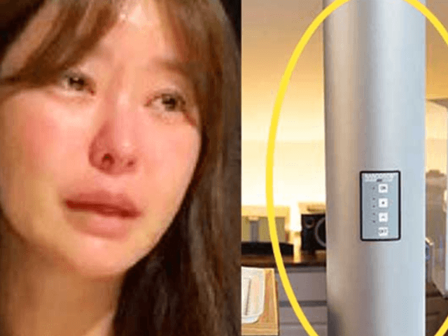 판매자마저 울게 만들었던 ‘850만 원 공기청정기’, 1년 지난 지금은?