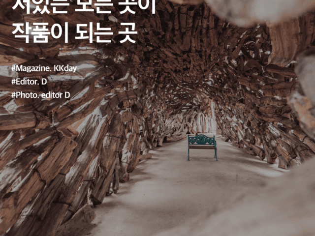 강릉 <strong>하슬라</strong><strong>아트</strong><strong>월드</strong> :: 서있는 모든 곳이 작품이 되는 곳