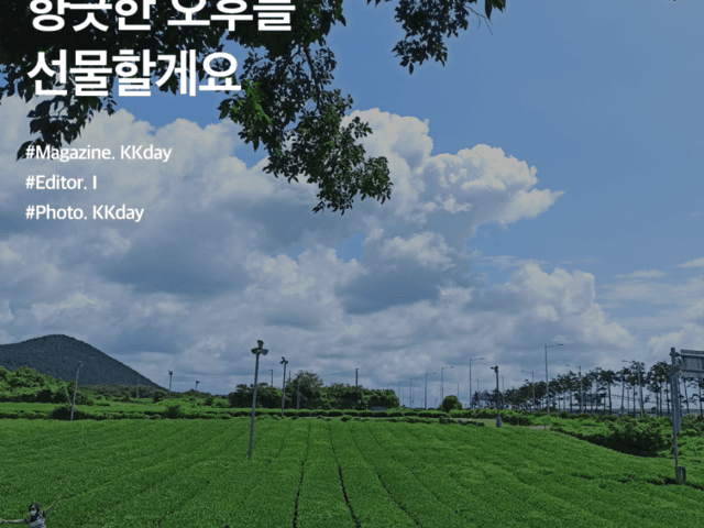<strong>제주</strong> 오설록 티뮤지엄 :: 향긋한 오후를 선물할게요