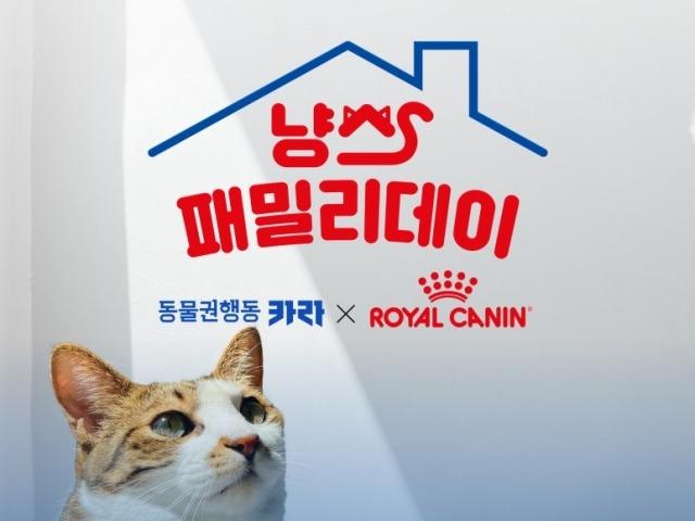 로얄캐닌, 동물권행동 <strong>카라</strong>와 함께 '냥스패밀리 데이' 성료