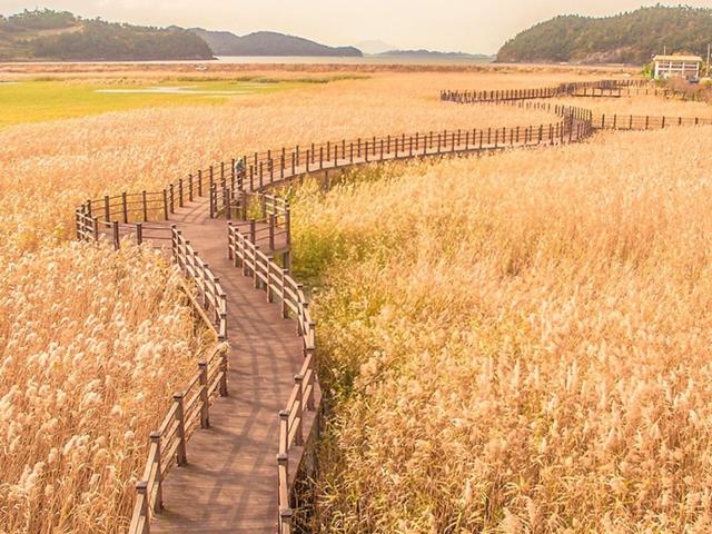 사진 업로드 하자마자 “어디에요?” 문의 빗발친 <strong>국내</strong> <strong>포토</strong> <strong>스팟</strong>