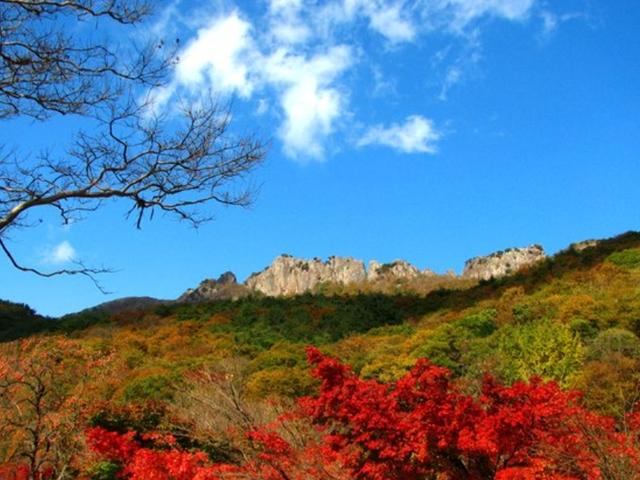 코로나도 여긴 출입금지···예약제로 받는 '<strong>국립공원</strong> 단풍놀이'