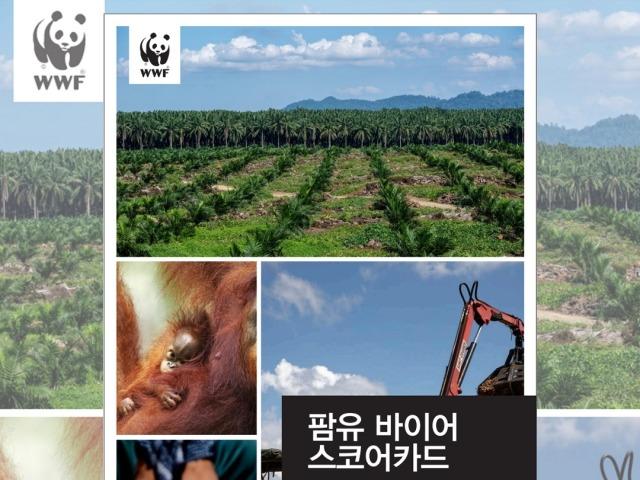 “지속가능하지 않은 <strong>팜유</strong> 산업, 자연 위기 초래”