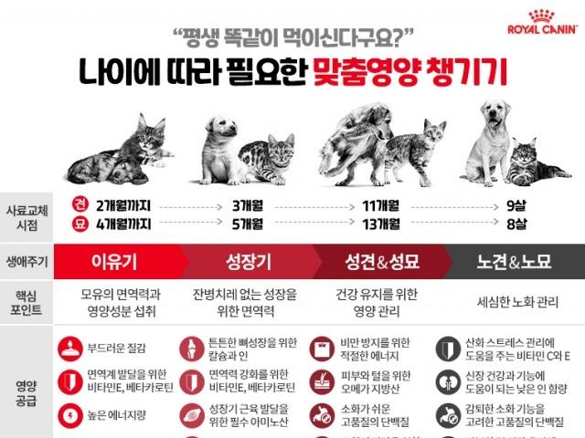 반려견의 평생건강 위한다면 ‘3,11,9’을 기억