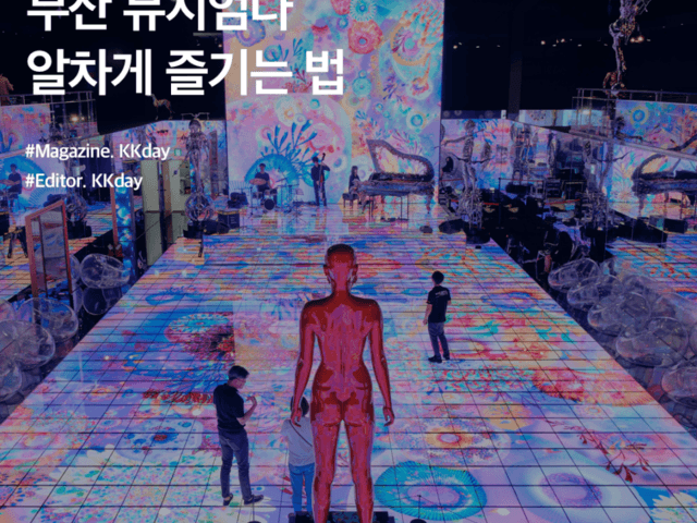 부산 뮤지엄다 할인 :: 상상 이상의 <strong>미디어아트</strong> 전시, 알차게 즐기는 법