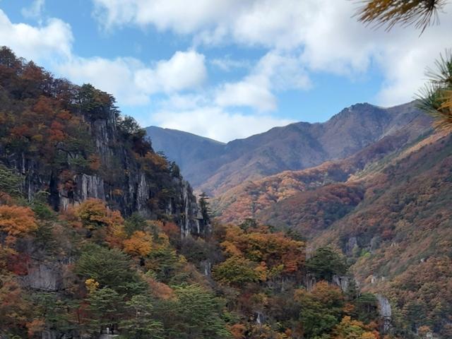 "동해가 핫해졌다"…볼거리 풍성해진 관광지 '주목'