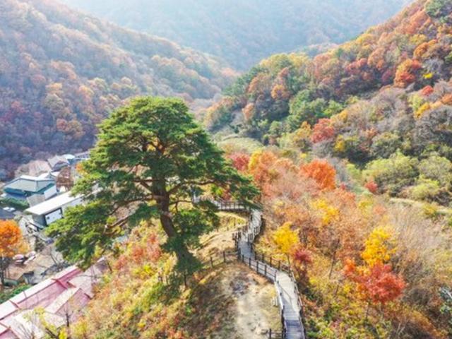 CG 아니었어? <strong>전지현</strong>도 반한 지리산 황홀경