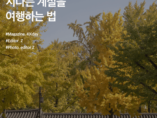 서촌 가볼만한곳 :: 서촌에서 지나는 계절을 여행하는 법