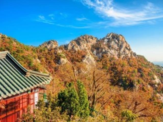 서울 <strong>단풍</strong> 뷰 맛집 4...곧 <strong>단풍</strong> 엔딩! 늦기 전에 만나러 갑시다!