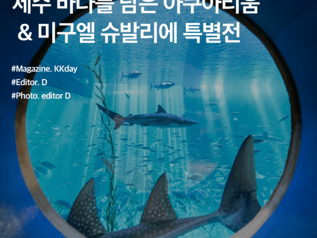 제주 아쿠아 플라넷 할인 :: 제주 바다를 담은 아쿠아리움 & 미구엘 슈발리에 특별전