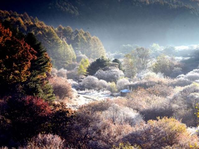 [조용준의 <strong>여행</strong>만리]<strong>인제</strong> 비밀의 정원, 빨강·노랑·하양· 겨울로 가는 숲