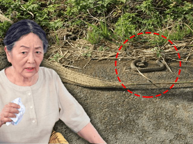 귀어귀촌은 낭만생활? 1년도 안돼 다시 도심으로!!