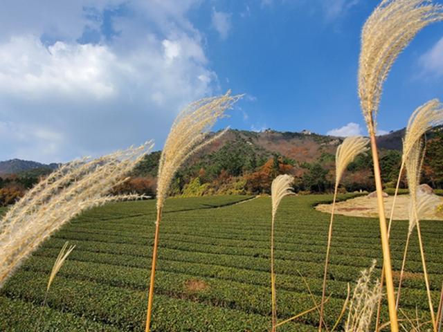 산세 빼어난 전남 강진 여행… 가우도 낙조, <strong>강진만</strong>의 아침 풍경