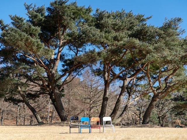 추워도 매력만점*̥❄︎‧˚ 겨울 경주 인기 스팟 랜선 여행