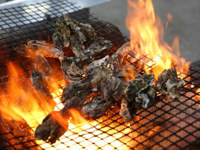 추워야 더 맛있다, <strong>남도</strong> 갯벌 매생이·석화
