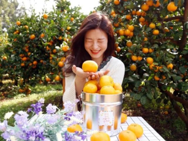 제주 <strong>겨울</strong> <strong>여행</strong> 장소로 SNS에서 입소문난 귤밭 포토존 모음