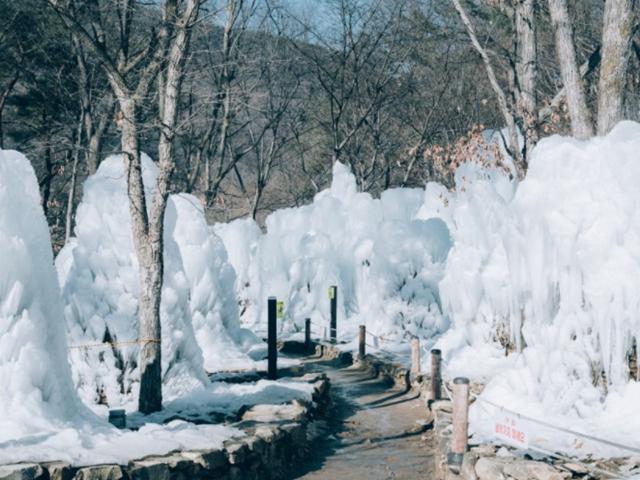 국내 <strong>겨울</strong> <strong>여행지</strong> <strong>추천</strong> :: 대전, 봄이 오면 생각날 거예요