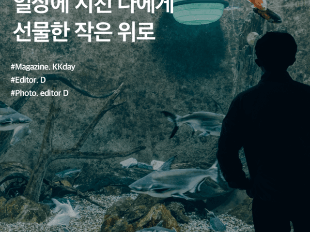 대전 신세계 아쿠아리움 :: 일상에 지친 나에게 선물한 작은 위로