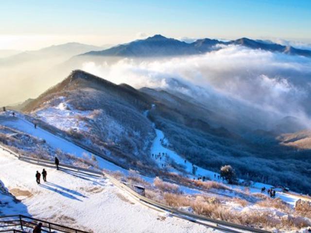 뽀득뽀득, 인증샷 명소…겨울 가기 전 가자 '눈꽃산행' 명소 3
