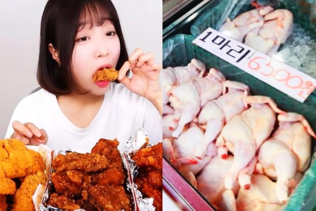 “이게 말이 되냐?” 대기업들 <strong>닭고기</strong> 가격 올리려고 이런짓까지 저질렀다