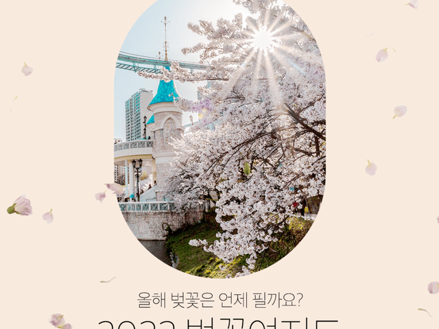 벚꽃여지도 :: 전국 2022 벚꽃 <strong>개화</strong><strong>시기</strong> 안내