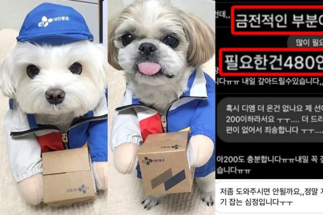 후원금 횡령 의혹터지자 택배견 경태 아버지, 이런 해명 내놨다