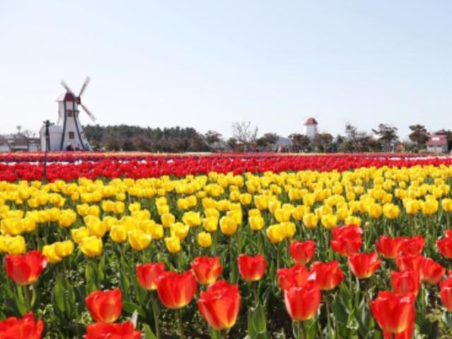 가볼만한 전남 꽃길로드! 꽃길만 걸어요~